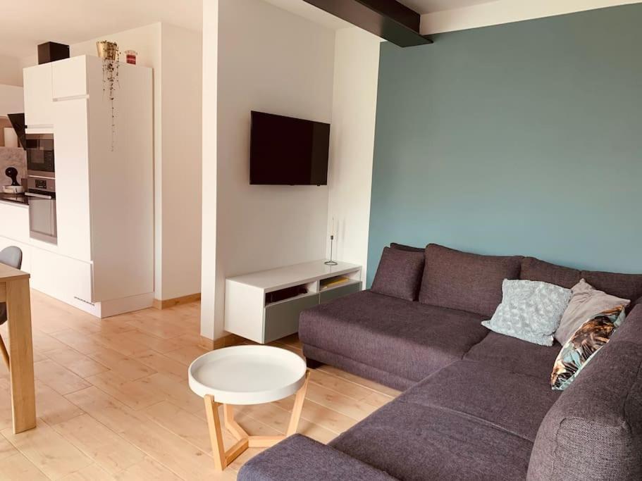 Maison En Plein Centre Avec Terrasse Et Jardin Vielsalm Dış mekan fotoğraf